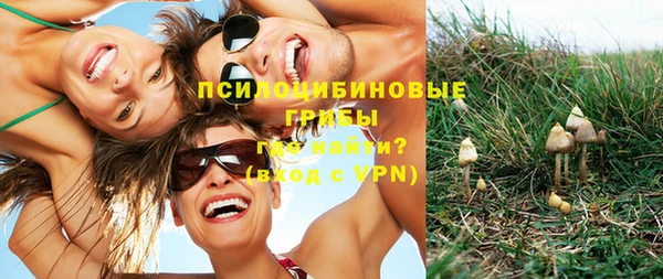 мет Няндома