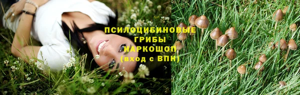 ECSTASY Остров