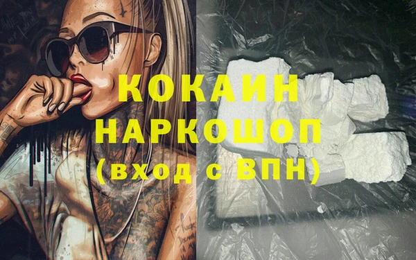 мет Няндома