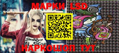 крисы Аргун