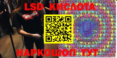 крисы Аргун