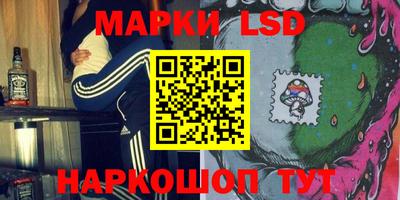 крисы Аргун