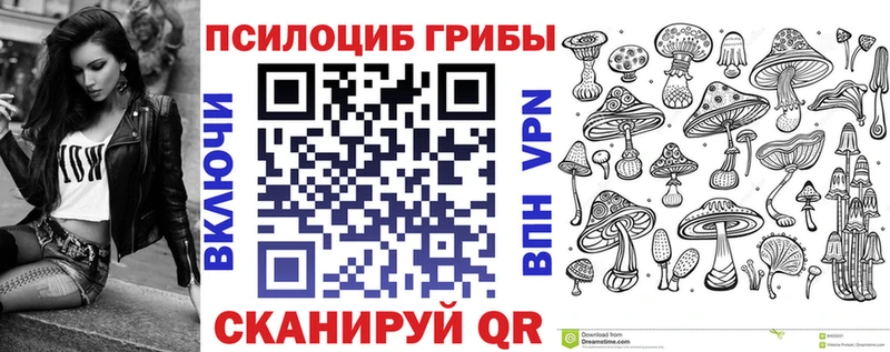 где найти Балахна Галлюциногенные грибы MAGIC MUSHROOMS