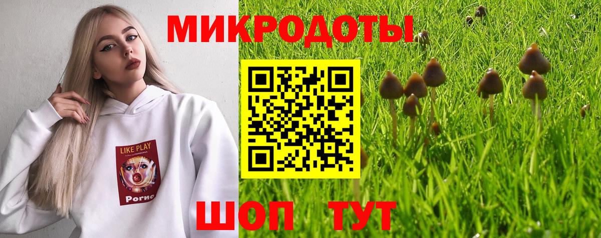 Балахна  Галлюциногенные грибы прущие грибы  Вход с VPN  Псилоцибиновые грибы Psilocybe 