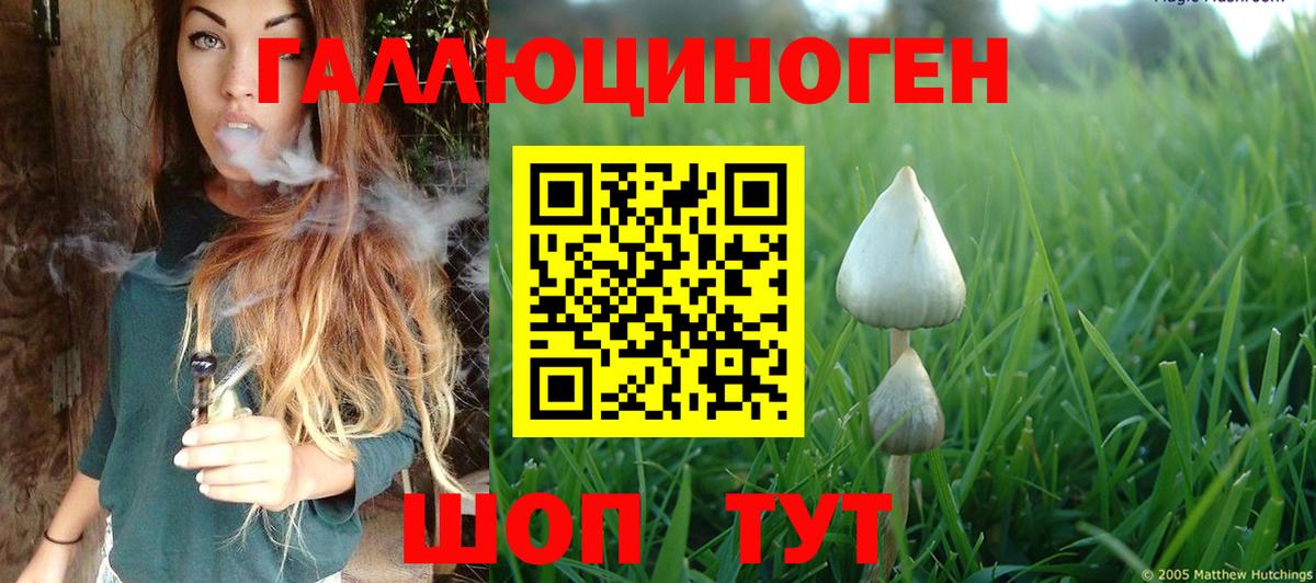 Меф МЯУ МЯУ   Балахна  Вход с VPN  Метадон  Гашиш  Каннабис  ГАШ 