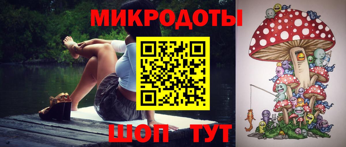 Псилоцибиновые грибы Psilocybine cubensis  Балахна  Псилоцибиновые грибы Cubensis 