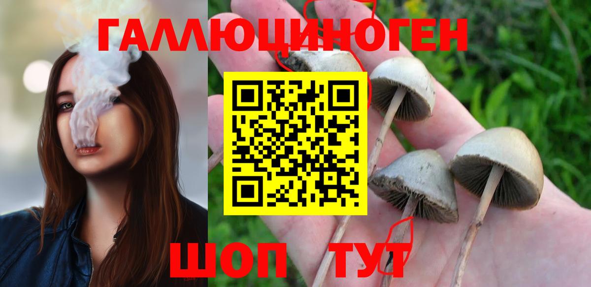Псилоцибиновые грибы Magic Shrooms Балахна